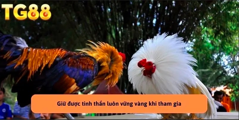 Các mẹo giúp chơi dễ thắng khi tham gia
