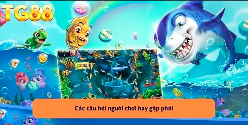Hình ảnh game sống động và rõ nét