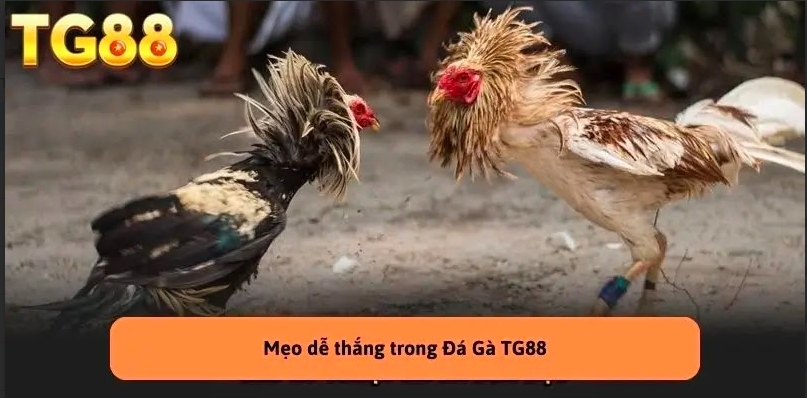 Luôn giữ vững tinh thần nhất có thể