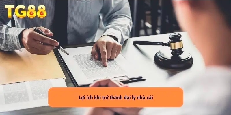 Lý do nên chọn nhà cái TG88